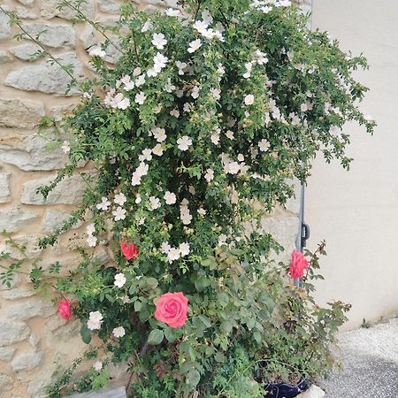 Gite L'Edenwine Doulezon Exterior foto